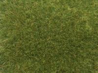 NOCH 07118 Wildgras Groen (gemiddeld) - thumbnail