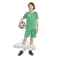 adidas Entrada 26 Voetbalbroekje Kids Groen Wit - thumbnail