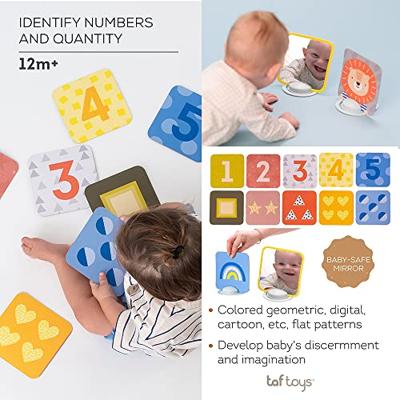 Activiteitenkaarten - TAF TOYS meerkleurig