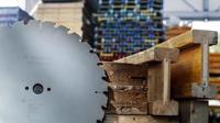 Bosch Accessoires Cirkelzaagblad Construct Wood 350 x 30 x 3,5 mm, 24 1st - 2608640692 - thumbnail
