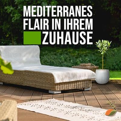 Laurier op stam - Laurus Nobilis - stamhoogte 50-80 cm Laurier op stam - Laurus Nobilis - stamhoogte 50-80 cm