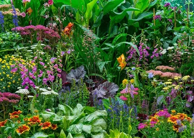 Alexsar Art Tuinschilderij bloementuin 70x50cm