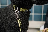 IDC Halsband Antislip - Neon - 25mm x 39-65cm - thumbnail