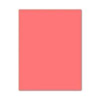 Fiches Iris Roze Licht Roze 50 x 65 cm - thumbnail