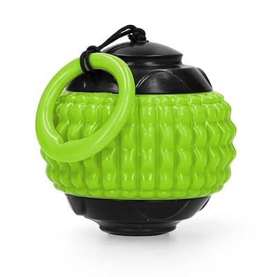 Dog Comets Blazar Jet Groen Dog Comets Blazar Jet Groen