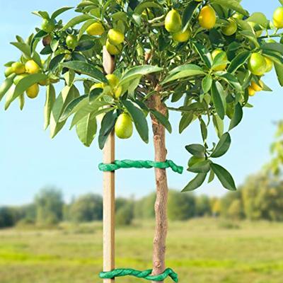 Connex Geschuimde Boombinder 10M - FLOR78735