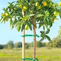 Connex Geschuimde Boombinder 10M - FLOR78735 - thumbnail