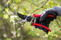 Meister Snoeischaar Bypass Re - WU9719100 - thumbnail