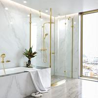 Hansgrohe Raindance Select S handdouche 120 3jet PowderRain EcoSmart+, Polished Gold-Optic - thumbnail