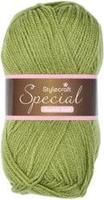 Stylecraft special DK 1065 meadow - Haakgaren / Breigaren - thumbnail