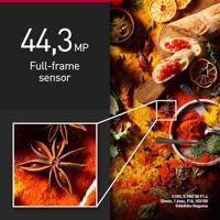 Panasonic Lumix DC-S1R II + Lumix S 24-105mm F/4.0 Macro OIS - thumbnail