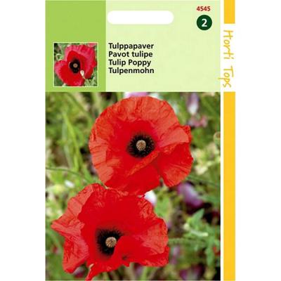 Zaden Papaver Tulppapaver Hortitops - Hortitops