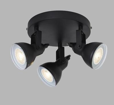 Searchlight Landelijke opbouwspotFocus - 1543BK