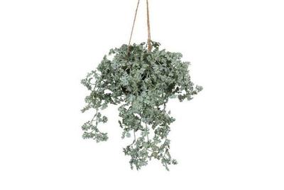 Decostar Artemisia hangplant 40 cm groen Decostar Artemisia hangplant 40 cm groen