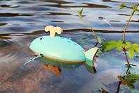 Walvis opwindbaar - thumbnail