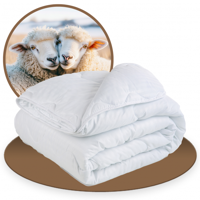 Zavelo 4-Seizoenen Texels Waddenwol Dekbed Comfort-Lits-Jumeaux (240x200 cm) - thumbnail