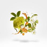 Xerjoff Naxos Eau de parfum Spray 100ml - thumbnail