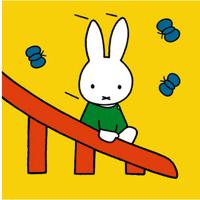 Ravensburger Mijn eerste puzzels nijntje puzzelset - 2 + 3 + 4 + 5 stukjes - thumbnail