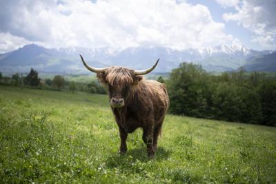 Tuinschilderij hoogl bergen 130x70 Customize-it - Customize it