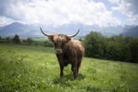 Tuinschilderij hoogl bergen 130x70 Customize-it - Customize it - thumbnail