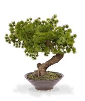 Pinus Bonsai kunstplant in schaal 40cm - thumbnail