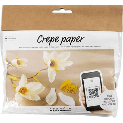 Creativ Company Mini hobbyset crêpepapier, magnoliatak, crêpe-verhouding: 180%, 1 doos