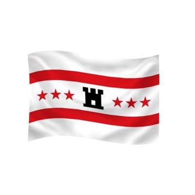 Dokkumer Vlaggen Centrale Vlag drenthe 40x60 cm spun-poly