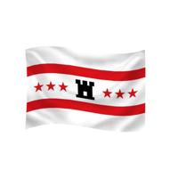 Dokkumer Vlaggen Centrale Vlag drenthe 40x60 cm spun-poly - thumbnail