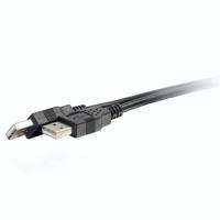 C2G /Cables to Go 28105 USB 2.0 A mannelijk naar A mannelijk kabel (1 meter, zwart) - thumbnail