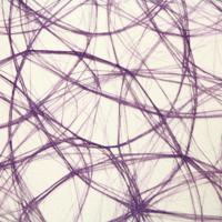 Vaessen Creative • sizoweb 5mx30cm in koker lichtpaars - thumbnail