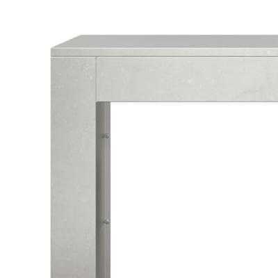 Haardhoutrek 100x40x80 cm roestvrij staal