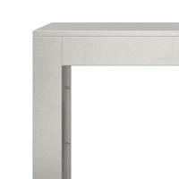 Haardhoutrek 100x40x80 cm roestvrij staal - thumbnail