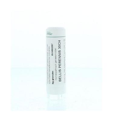 Homeoden Heel Bellis perennis 30CH 6 Gram