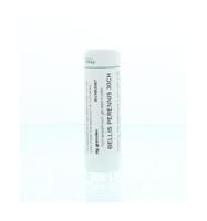 Homeoden Heel Bellis perennis 30CH 6 Gram - thumbnail