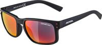 Alpina Kosmic - Sunglasses - thumbnail