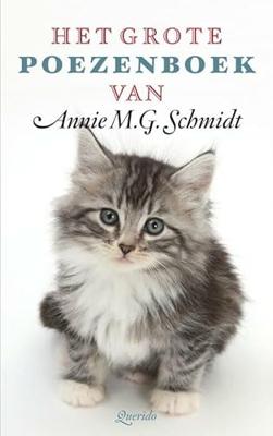Het grote poezenboek (Paperback)