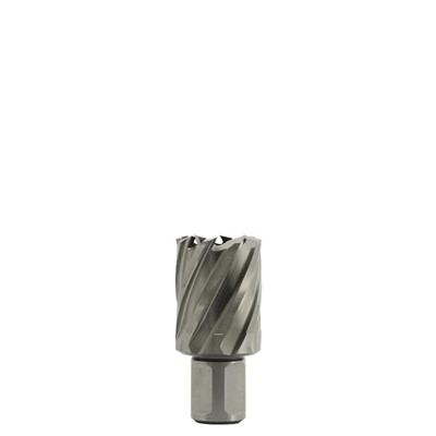 Euroboor HSS KERNBOREN - weldon shank | 30mm, 24mm - hcs.240