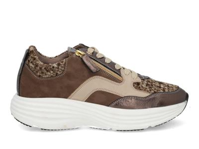 DL Sport 6742 vers 01 bronzo Brons maat 40