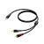 Procab CLA711 Classic 1x mini-jack - 2x RCA verloopkabel 3m - thumbnail