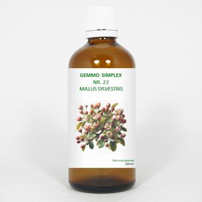 Balancepharma Gemmo simplex 22 Malus sylvestris 100 Milliliter