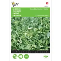 Buzzy® Andijvie Volhart Winter Zaden - thumbnail
