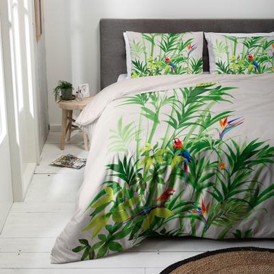 Parrot Palm Parrot Palm