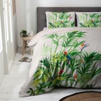 Parrot Palm - thumbnail