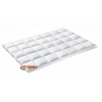 VanDyck Excellent Dekbed 450