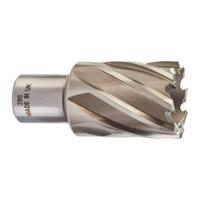 Milwaukee Accessoires HSS-freeskroon 29 x 30 mm - 4932343285 - thumbnail