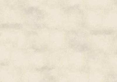 Busch 7440 H0 Decoplaat Muurplaat gepleisterd Busch 7440 H0 Decoplaat Muurplaat gepleisterd