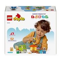 LEGO DUPLO bijen en bijenkorven 10419 - thumbnail