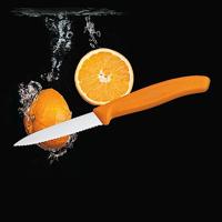 Victorinox 6.7636.L119 Groentemes Oranje - thumbnail