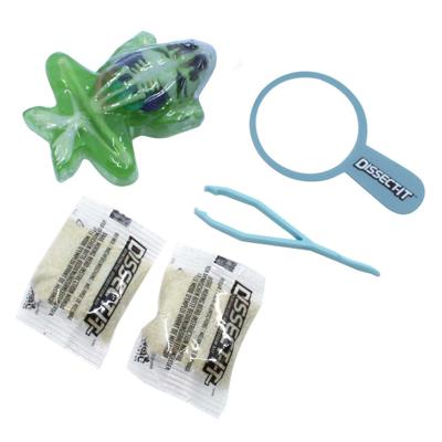 DISSECT-IT Ontleed een Kikker met Vergrootglas