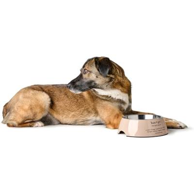 Voerbak voor honden Hunter LUTON 350 ml